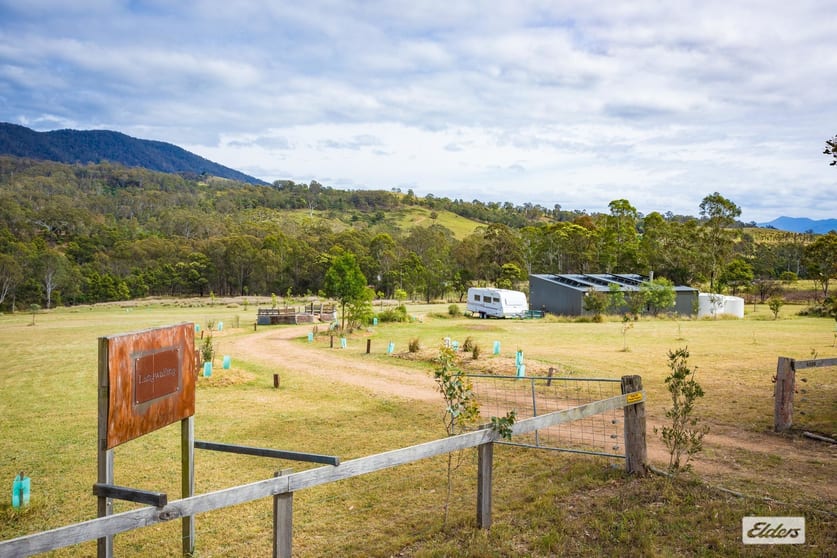 Click to view all images 1038 Tantawangalo Mountain Road Candelo NSW 2550 - Image 2