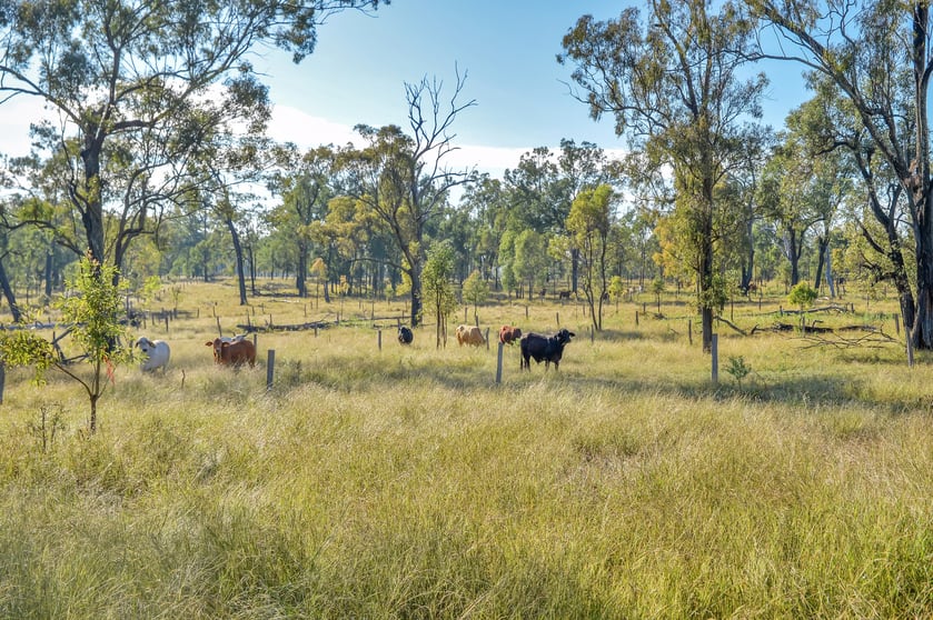 Click to view all images 515 Coleyville Road Coleyville QLD 4307 - Image 1