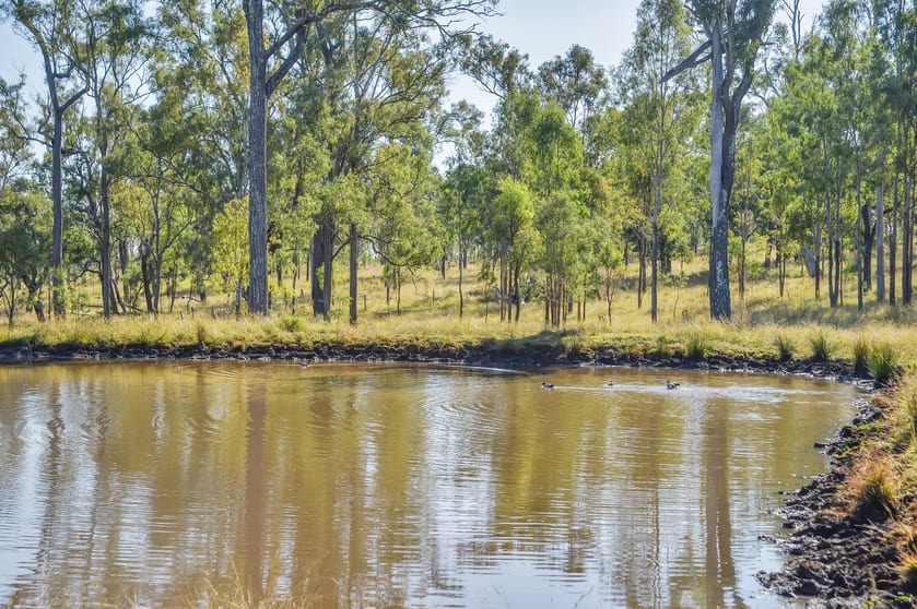Click to view all images 515 Coleyville Road Coleyville QLD 4307 - Image 2