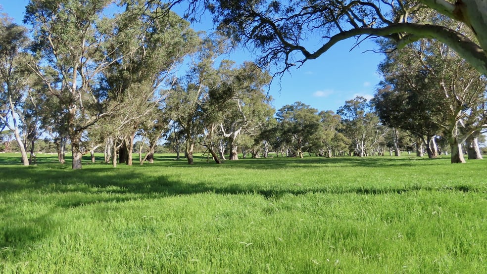 Click to view all images Lot 9 Mount Burr Road Monbulla SA 5277 - Image 2
