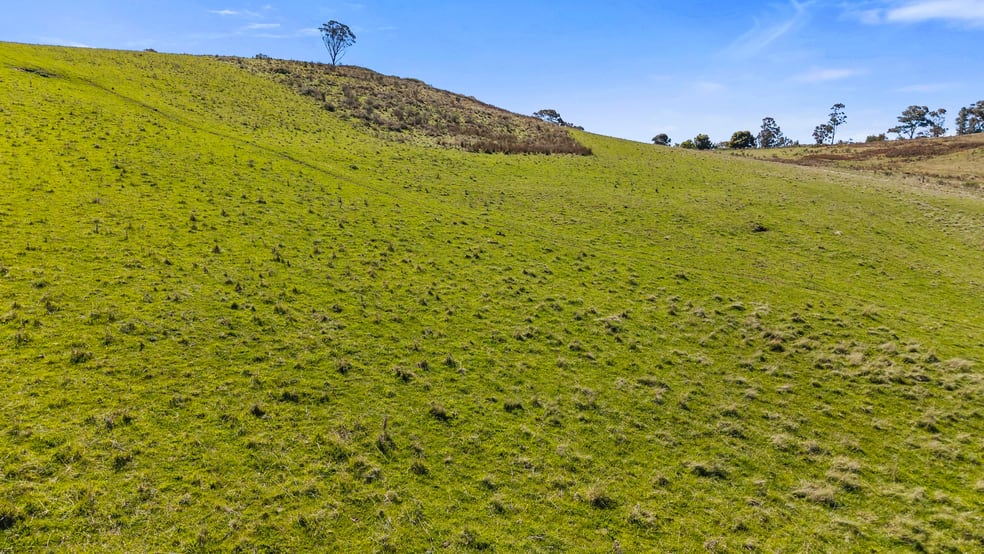 Click to view all images 5733-5734 Abercrombie Road Paling Yards NSW 2580 - Image 3