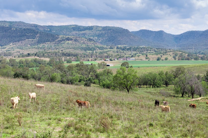 Click to view all images Lot 31 Flagstone School Road Flagstone Creek QLD 4344 - Image 2