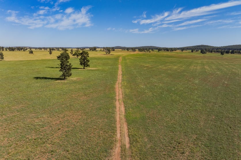 Click to view all images 3356 Mid Western Highway North Yalgogrin NSW 2671 - Image 1