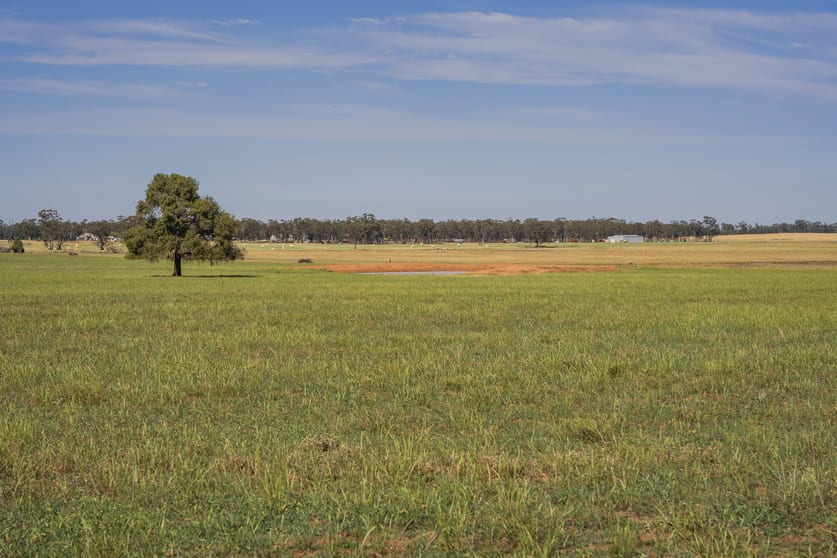 Click to view all images 3356 Mid Western Highway North Yalgogrin NSW 2671 - Image 3