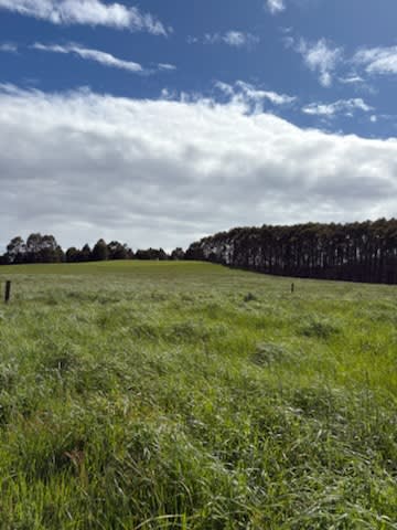 Click to view all images 226 Hursts Road Lileah TAS 7330 - Image 1
