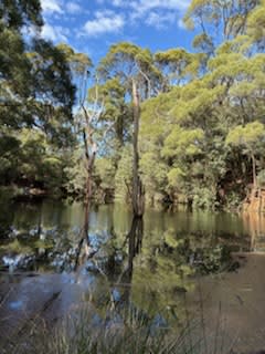 Click to view all images 226 Hursts Road Lileah TAS 7330 - Image 3