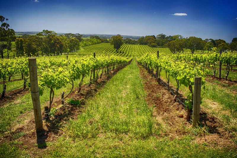 Click to view all images Accommodation & Tourism business for sale in Adelaide - Image 1
