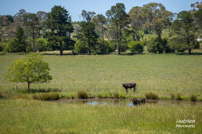 Click to view all images 40 Roseneath Lane Armidale NSW 2350 - Image 3