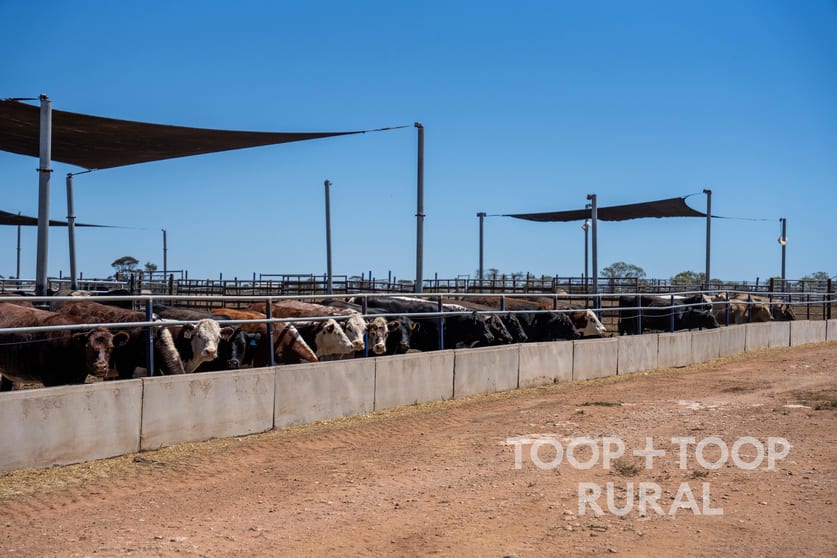 Click to view all images 106/ Hunter Road Nildottie SA 5238 - Image 2