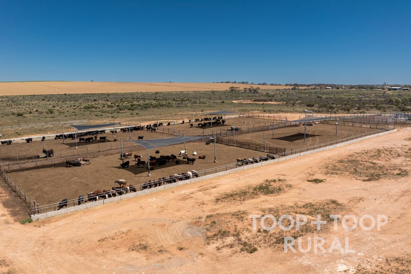 Click to view all images 106/ Hunter Road Nildottie SA 5238 - Image 3