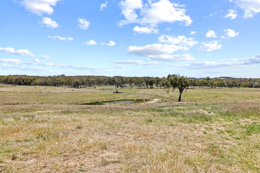 Click to view all images 5716 Gundaroo Road Bellmount Forest NSW 2581 - Image 3