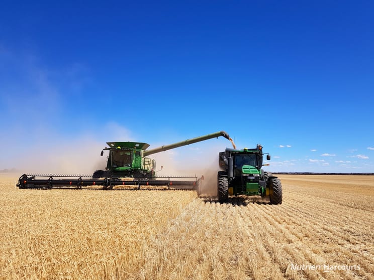 . Waitavalo Farms Narembeen WA 6369 - Image 1