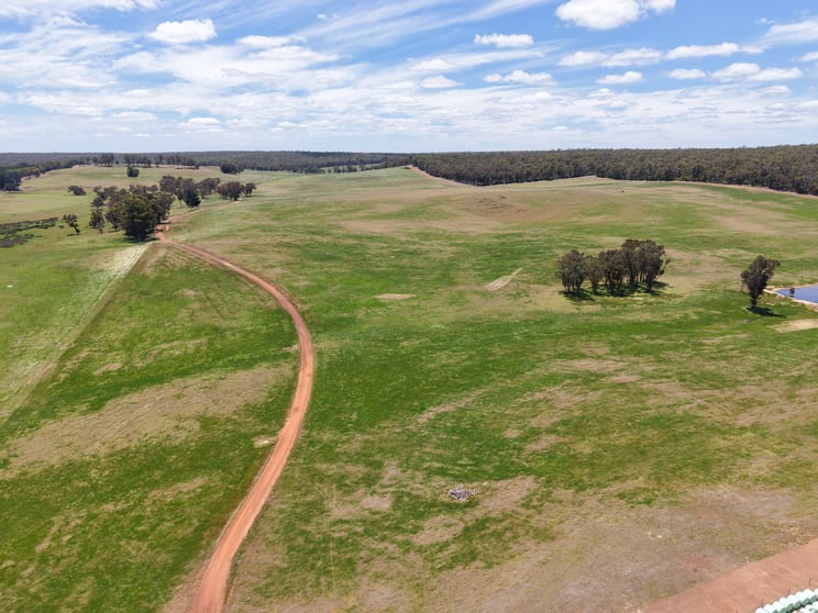 203 Simcock Road Chowerup WA 6244 - Image 3