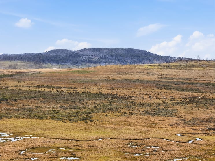 2533 Marlborough Road Little Pine Lagoon TAS 7140 - Image 2
