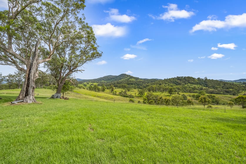 Kia Ora Road Gloucester NSW 2422 - Image 3