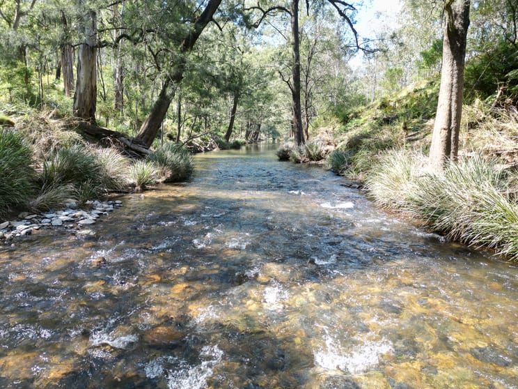 Click to view all images 638 Tops Road Nowendoc NSW 2354 - Image 1