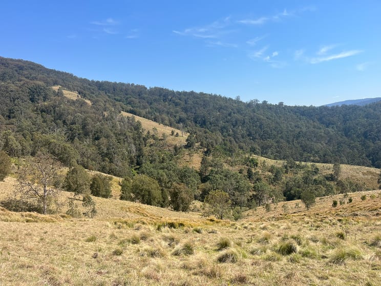 Click to view all images 638 Tops Road Nowendoc NSW 2354 - Image 3