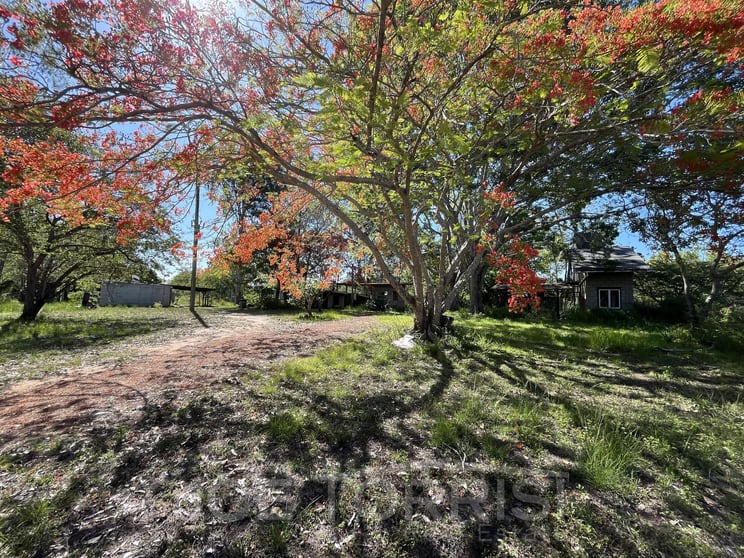 Click to view all images 841 Bilwon Road Biboohra QLD 4880 - Image 3
