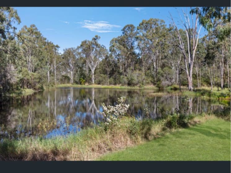 847 Old Gympie Road Paterson QLD 4570 - Image 3