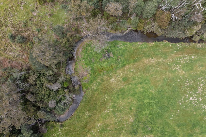 Click to view all images . Golconda Road Nabowla TAS 7260 - Image 3
