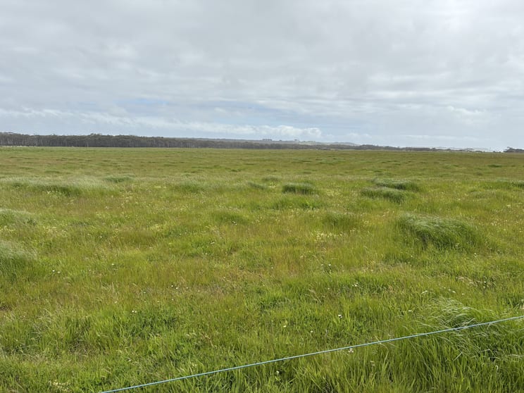 Click to view all images . Harcus River Road Marrawah TAS 7330 - Image 3