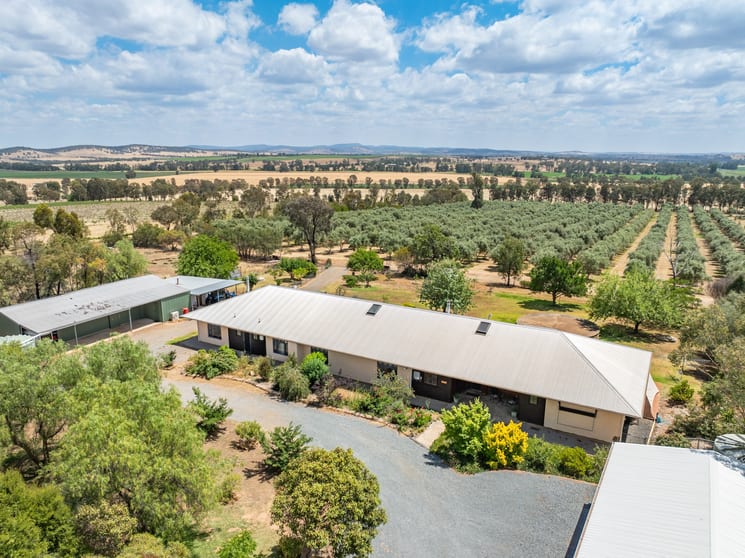Click to view all images 20/444 Rivers Road Canowindra NSW 2804 - Image 2