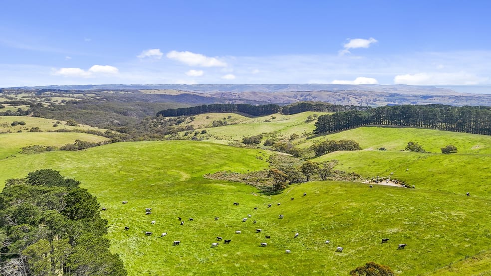 137 Faggotter Road Myponga SA 5202 - Image 3