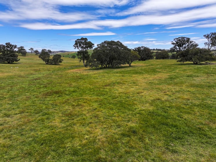 0 Shaws Road Gunning NSW 2581 - Image 2