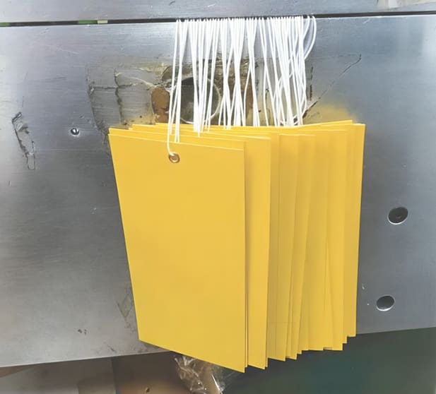 Click to view all images Paper / Printing business for sale in Sydney - Image 3