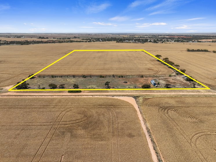 1244 Crutchett Road North Moonta SA 5558 - Image 1