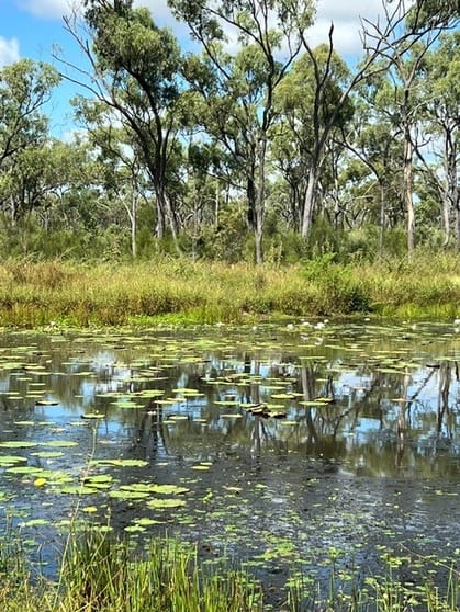 Click to view all images Lot 23 Gordon Glen Road Bowen QLD 4805 - Image 2
