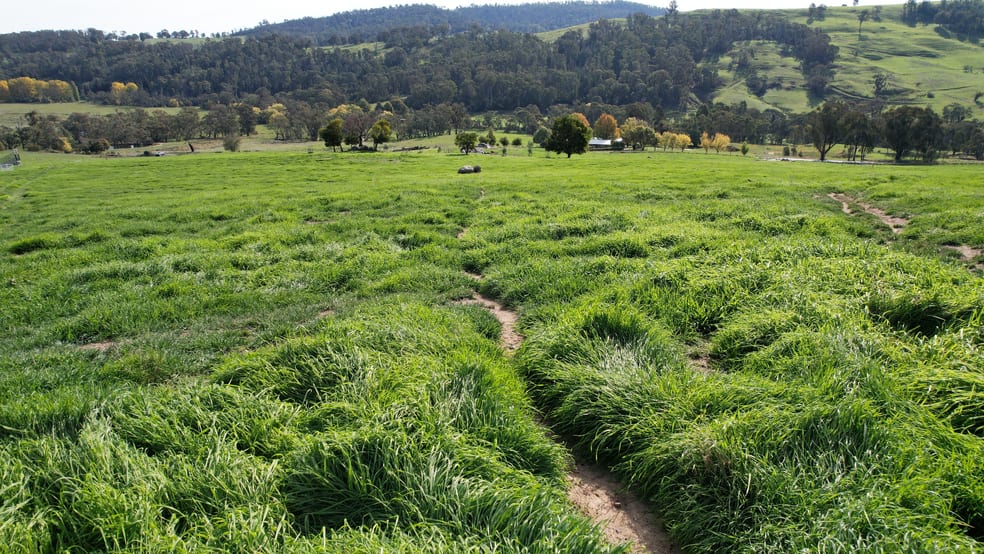 Click to view all images 580 Batlow Road Tumbarumba NSW 2653 - Image 3