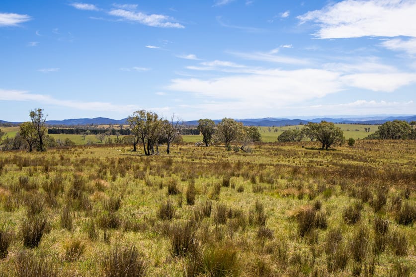 Click to view all images 1069 Delegate Road Bombala NSW 2632 - Image 2