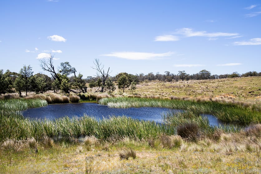 Click to view all images 1069 Delegate Road Bombala NSW 2632 - Image 3