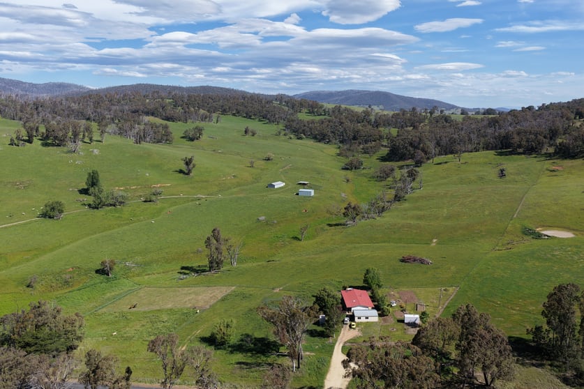 954 Courabyra Road Tumbarumba NSW 2653 - Image 1