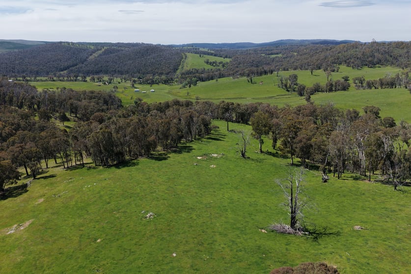 954 Courabyra Road Tumbarumba NSW 2653 - Image 3