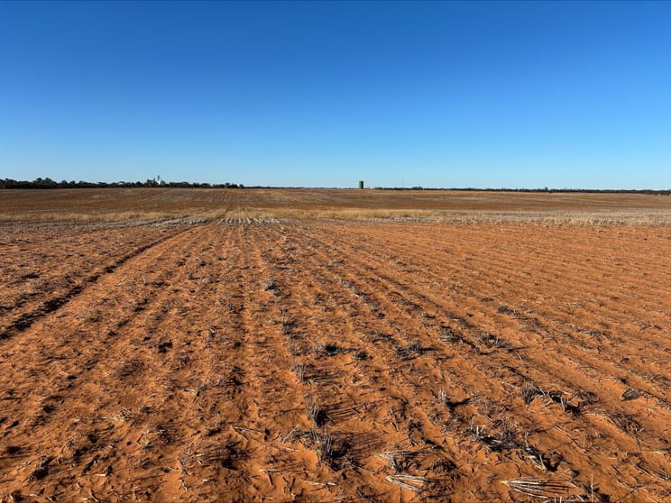 Click to view all images 4049 Mallee Highway Manangatang VIC 3546 - Image 2