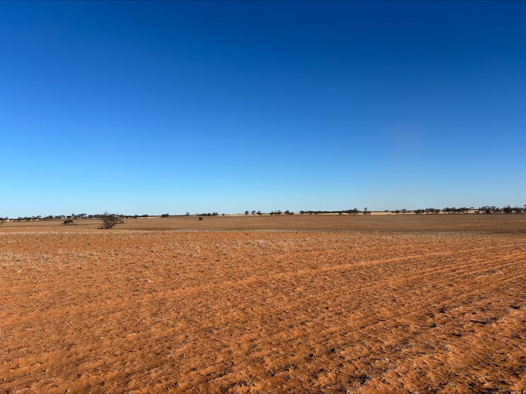 Click to view all images 4049 Mallee Highway Manangatang VIC 3546 - Image 3