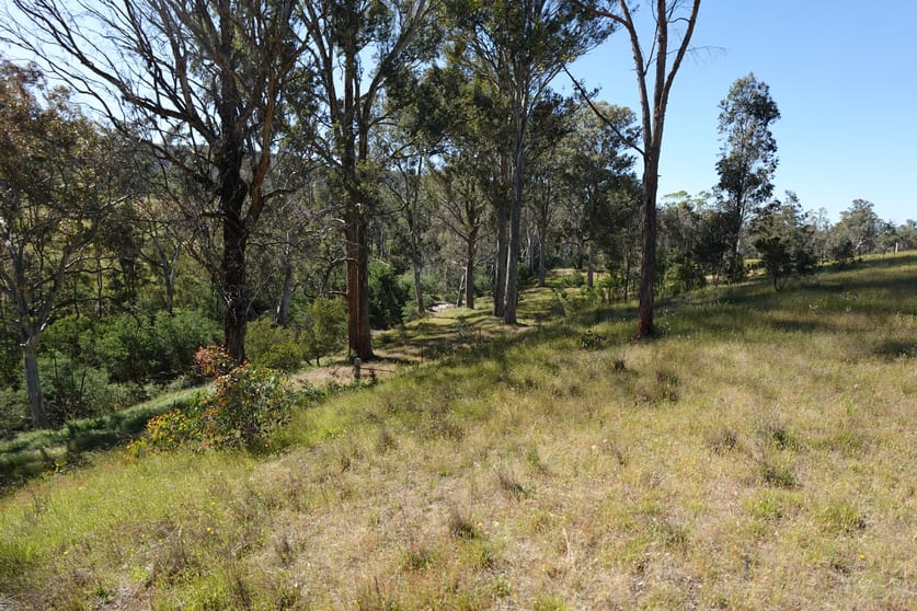 2985 Midland Highway Lima South VIC 3673 - Image 3