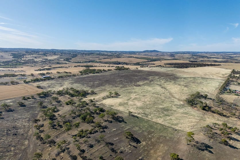Lot 22 St Ives Road Red Creek SA 5255 - Image 3