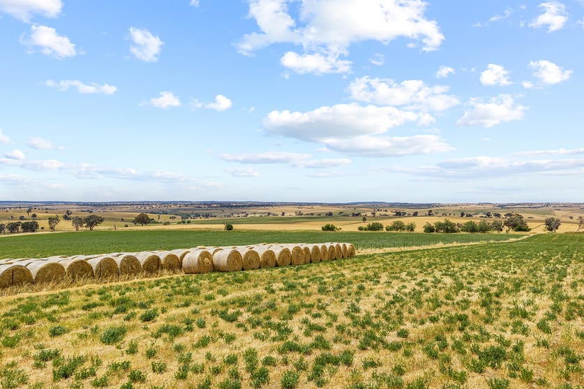 215 Holman Road Murrumburrah NSW 2587 - Image 2