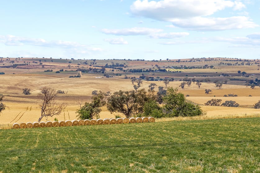 215 Holman Road Murrumburrah NSW 2587 - Image 3