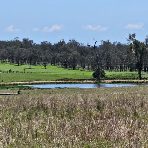 262 MtForbes School Rd Mount Forbes QLD 4340 - Image 3