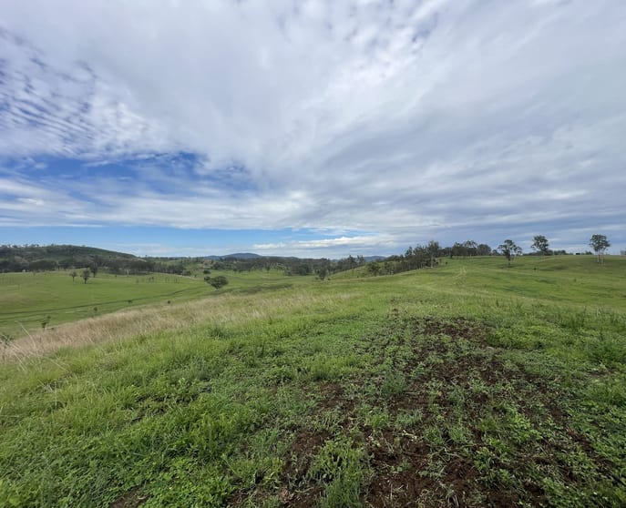 208 Rosehill Road Kolonga QLD 4671 - Image 3