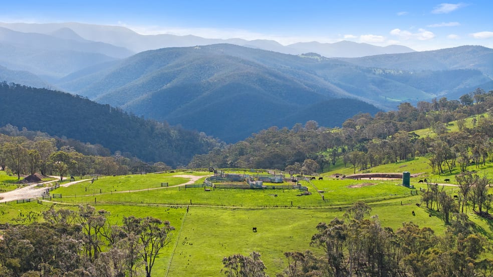 Click to view all images 914 Target Creek Road Licola VIC 3858 - Image 2