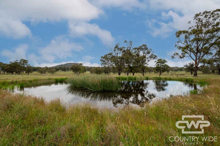 Click to view all images 24 Cemetery Road Torrington NSW 2371 - Image 2