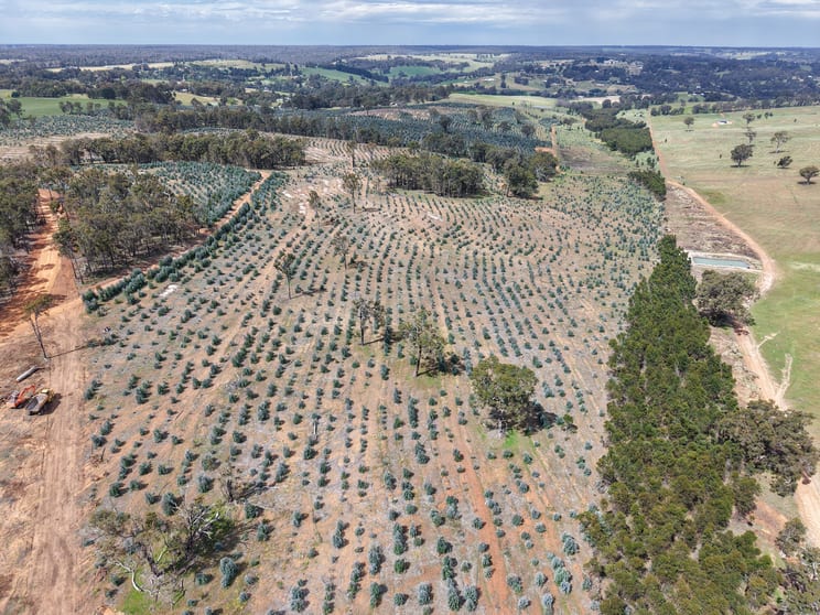 Click to view all images Lot 1 Peninsula Road Bridgetown WA 6255 - Image 2