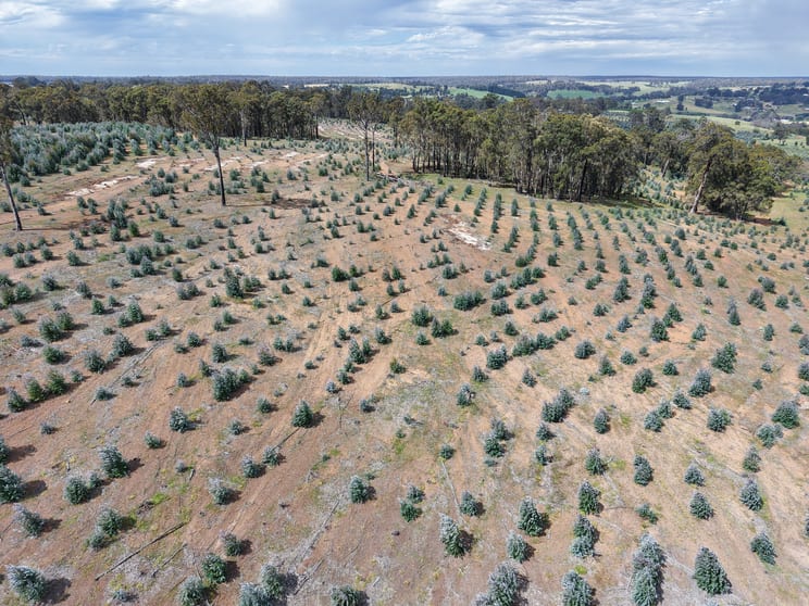 Click to view all images Lot 1 Peninsula Road Bridgetown WA 6255 - Image 3