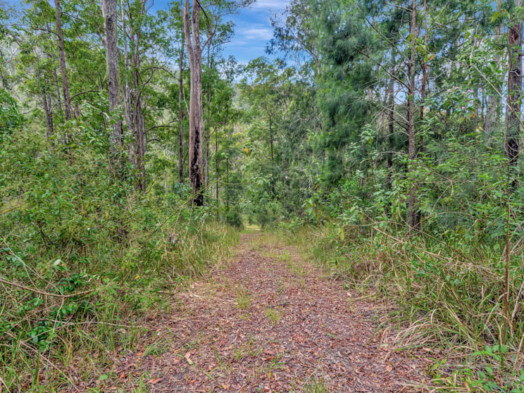 739 Upper Buckrabendinni Road Buckra Bendinni NSW 2449 - Image 3