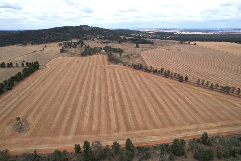 Click to view all images 76 Kerrs Lane Caragabal NSW 2810 - Image 1